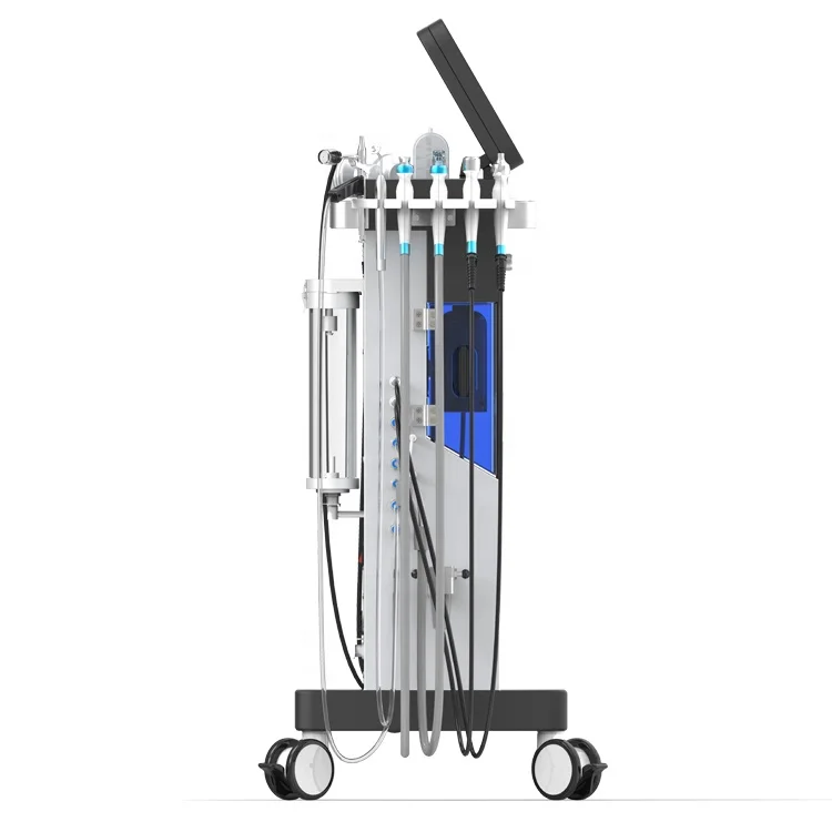 
10 in 1 water oxygen machine / microdermabrasion machine 2019 NianSheng beauty 