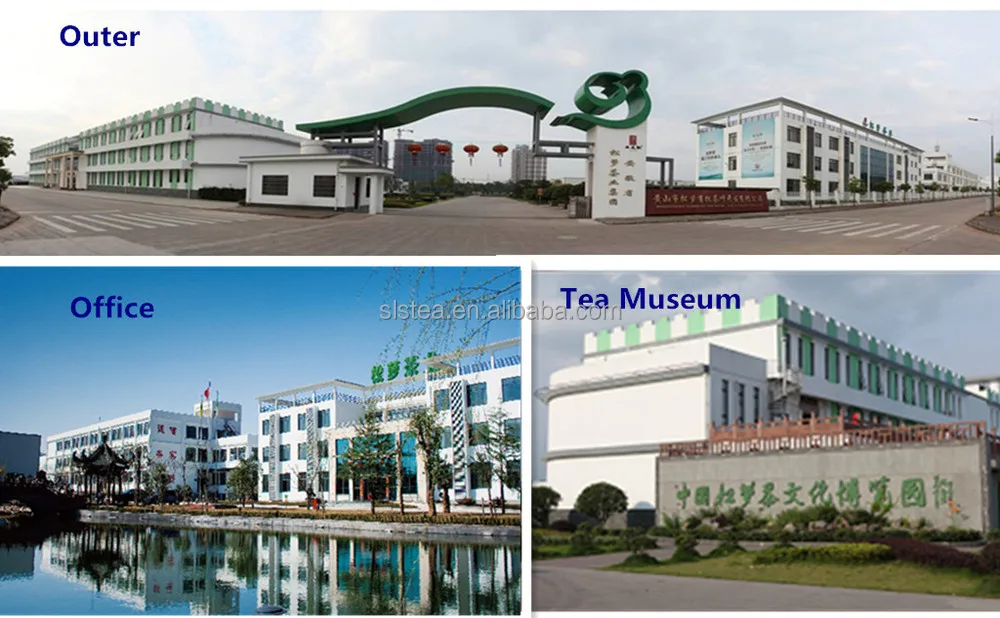 chunmee green tea 8147 with cheap price for wholesale