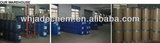 paste-pic-dp_uuid_43o9c