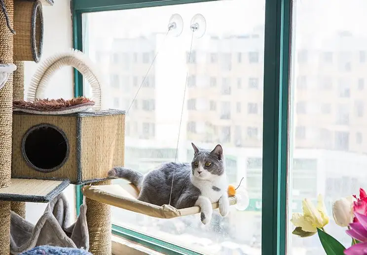 Seat Basking Hanging Shelf Window-Mounted Hammock Cat Bed with Strong Suction Cup Sunny Swing Durable Oxford