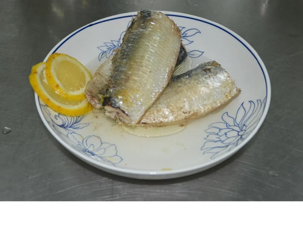 Best quality oil canned sardine canned sardine