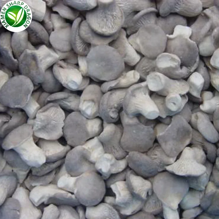 Wholesale buyers frozen oyster mushroom of price