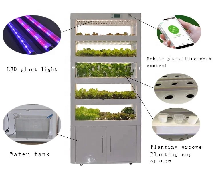 
Urban Farm Indoor Smart Hydroponic Greenhouse Vertical Microgreen Growing System 