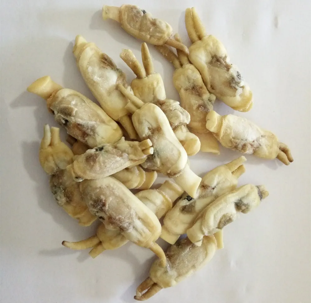 Замороженные моллюски для свежих морепродуктов всех размеров