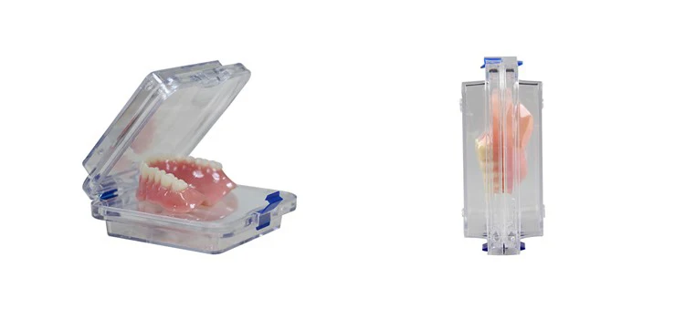 
Clear Plastic Lockable Full Denture Membrane Box 