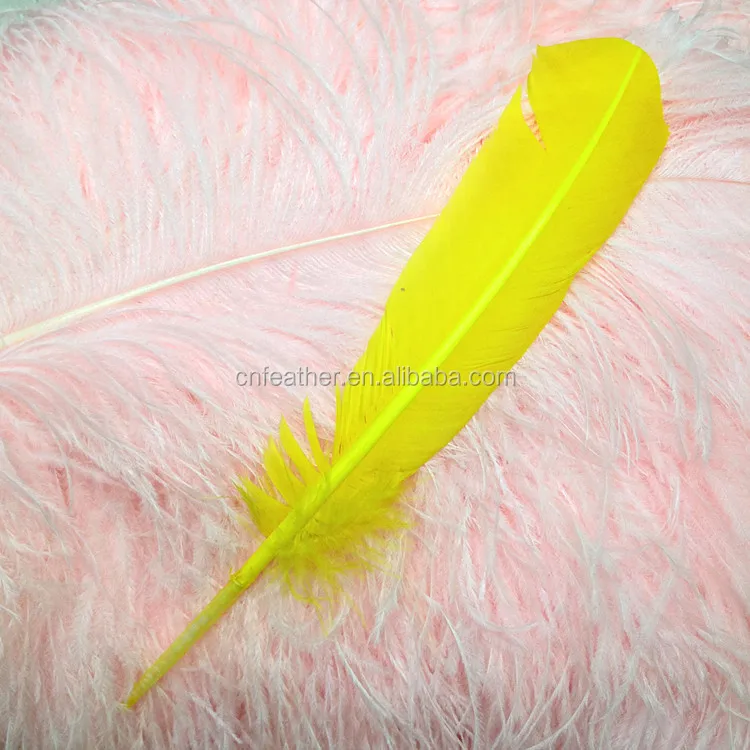 Wholesale25-30cm красочные Турция Перья крыло перья для индийских заголовок