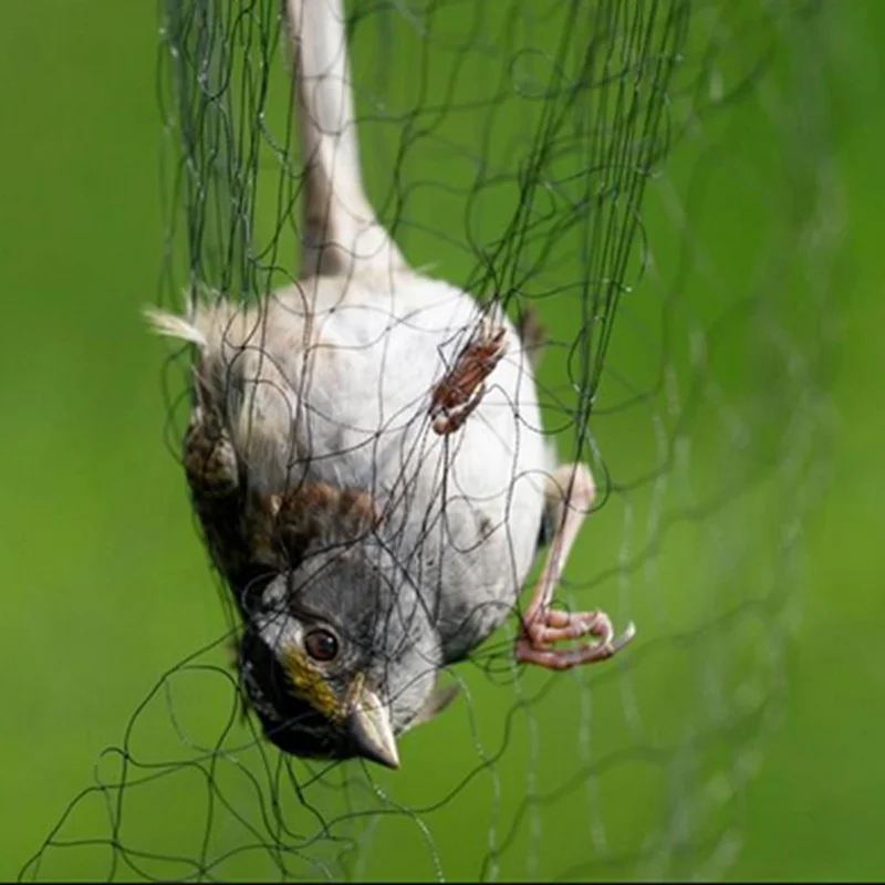 good quality and cheap price nylon/plastic bird net trap