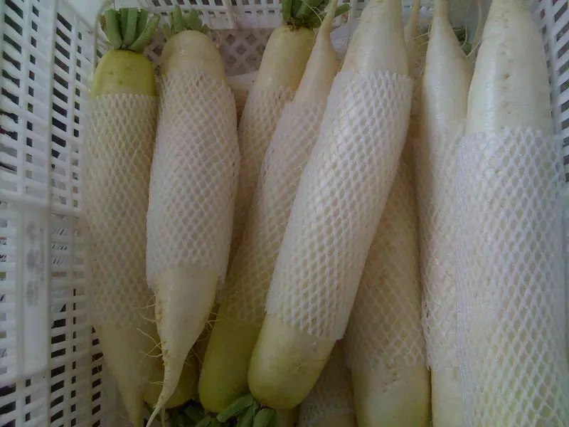 
hot sale fresh white turnip 