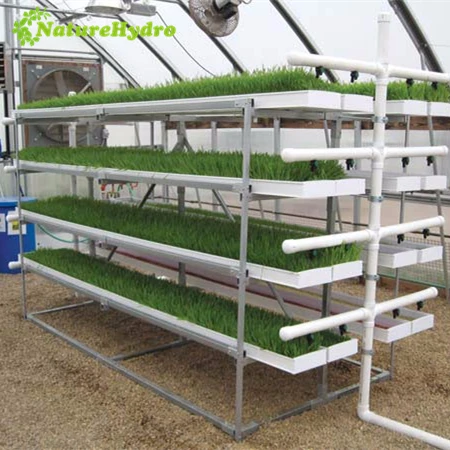 Hydroponic forage systems alfalfa fodder system for sale
