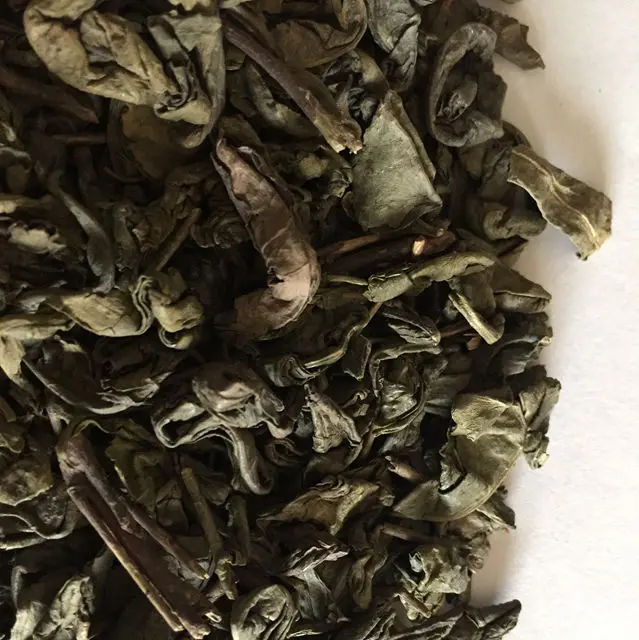 
Chinese green tea products type 9501 price per kg of competitive price 