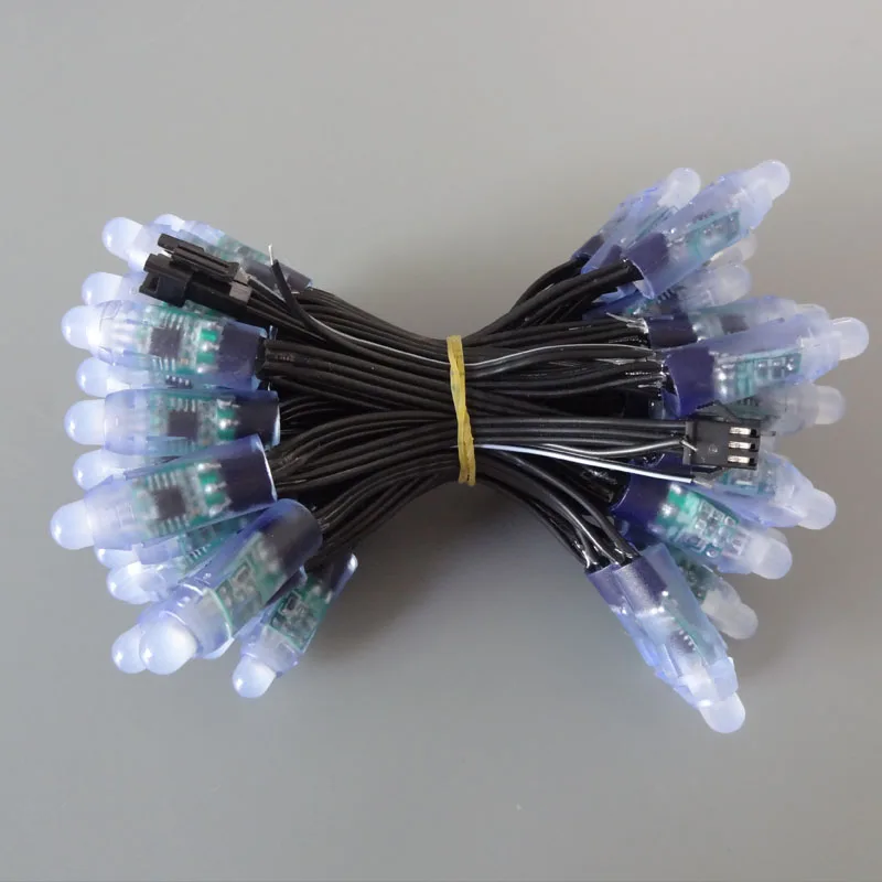 DC12V input IP68 WS2811 LED pixel light black wire