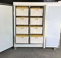 
Good Quality Bean Sprout Growing Machine/ Mung Bean Sprout Machine/ Bean Seed Germination Machine 