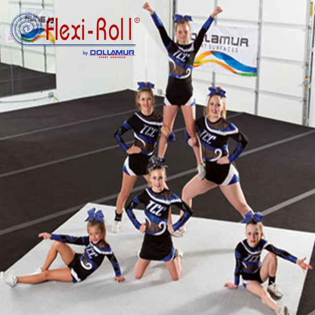 Dollamur gymnastics equipment/carpet rhythmic gymnastics /standard cheerleading mat