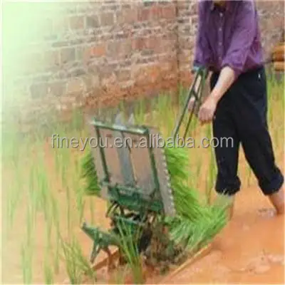 Two - line manpower step back mini rice transplanter