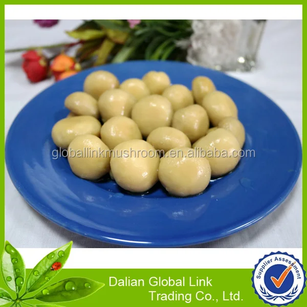 mushroom slice edible mushrooms canned mix mushroom in brine