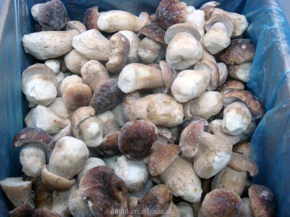 Detan Frozen Boletus Edulis in All Types of Mushrooms