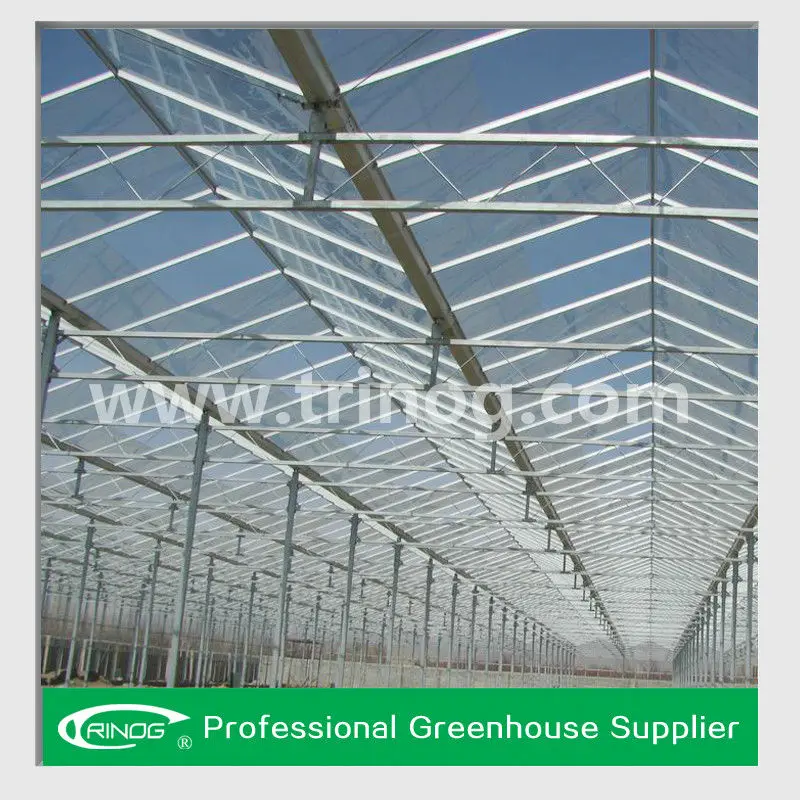 промышленная теплица Venlo