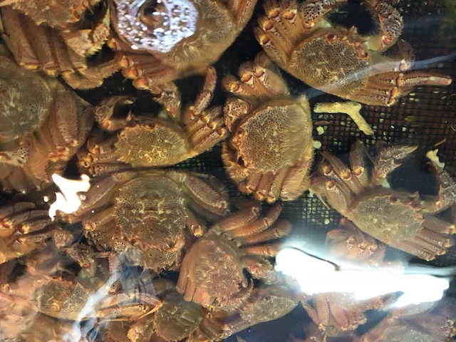 
Japanese Seafood Importer High Quality Fresh Shell Scallop Wholesale 