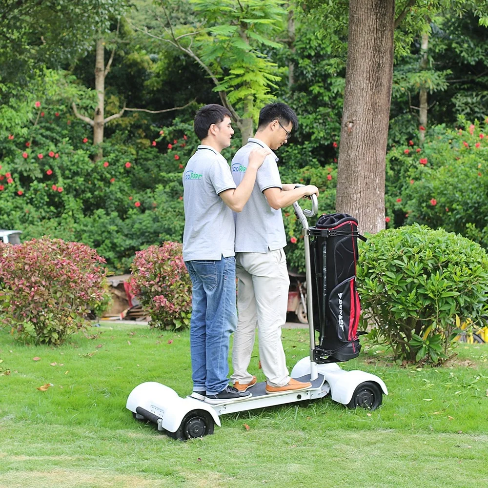 Newest longboard electric golf skateboard scooter with remove golf holder