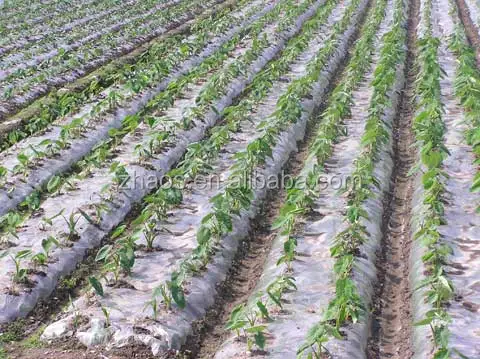 
reinforced plastic film | black plastic mulching film | clear plastic protective film 