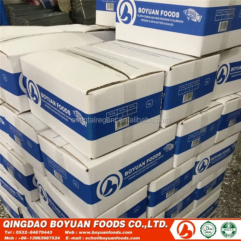 
African wholesale frozen 500-800g fish 