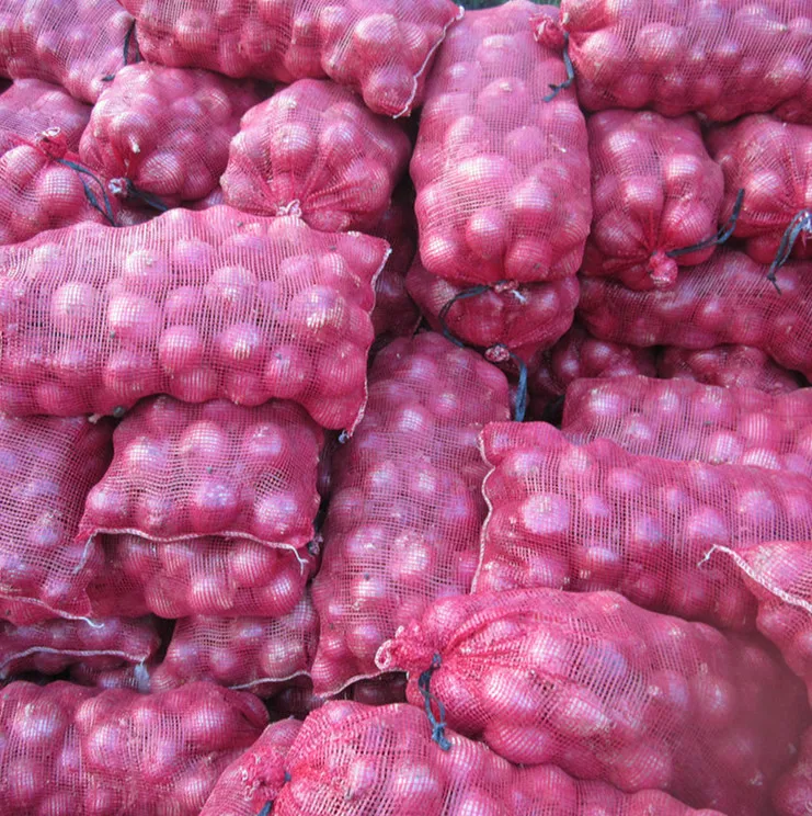 Yellow Gansu onion/5-7cm/6-9cm