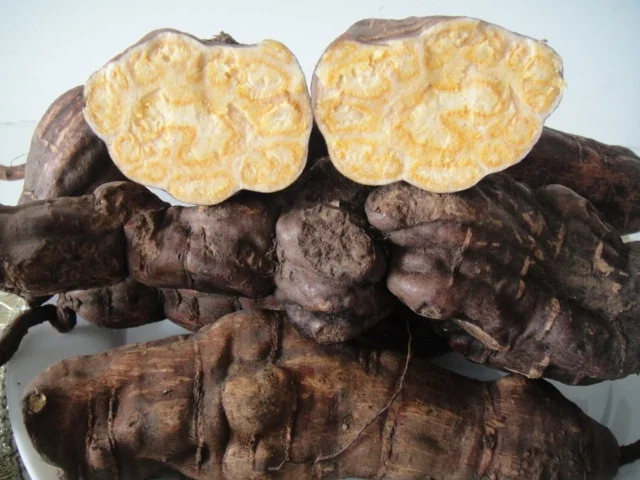 
Raw dried Fleece-flower Root slices Fo Ti Radix Polygoni Multiflori herbal medicine 