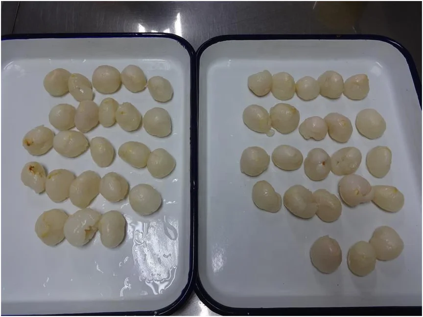Fresh pack Mikado  canned food canned lychees whole in light syrup