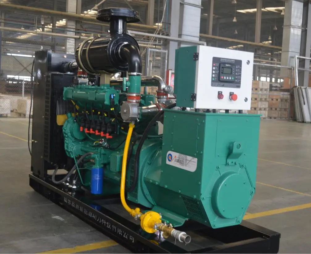 100kva LPG gas generator as home standby power