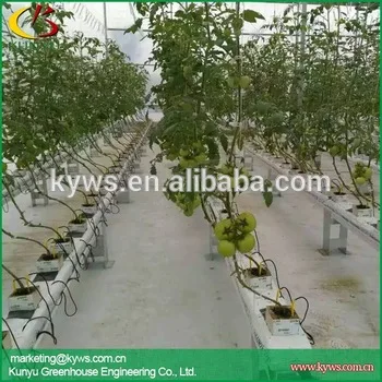 Hydroponic gutter for strawberry tomato pepper hydroponic trough for greenhouse