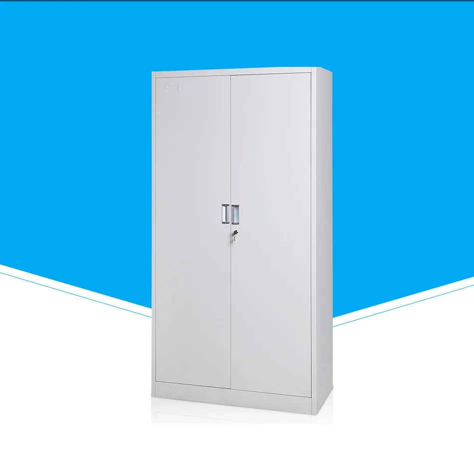 SFD-W19 2 Door Filing Cabinet in Hospital Steel Furniture