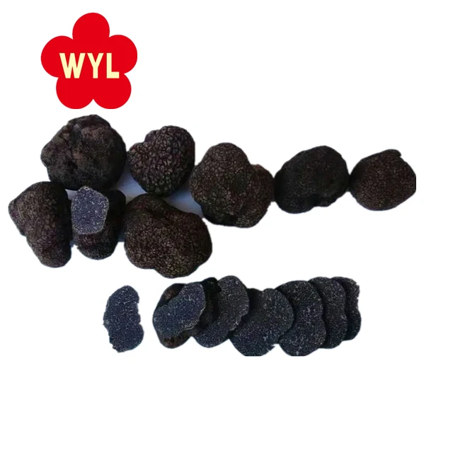 China best price frozen black truffles mushrooms
