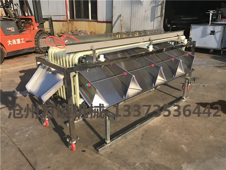 5 Grades sorting machine equipment used for dates,plums,oranges and similar fruit  processing