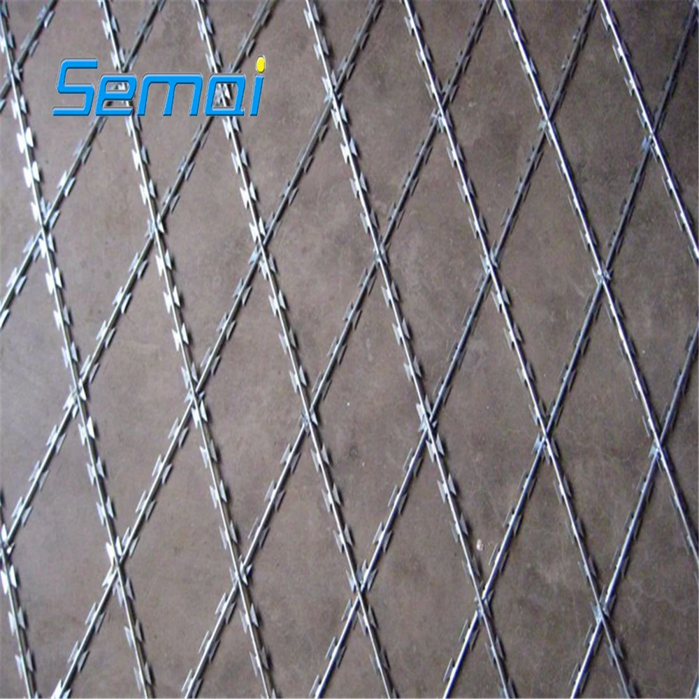 
cheap hot sale barbed wire razor wire mesh wall spike(factory) 