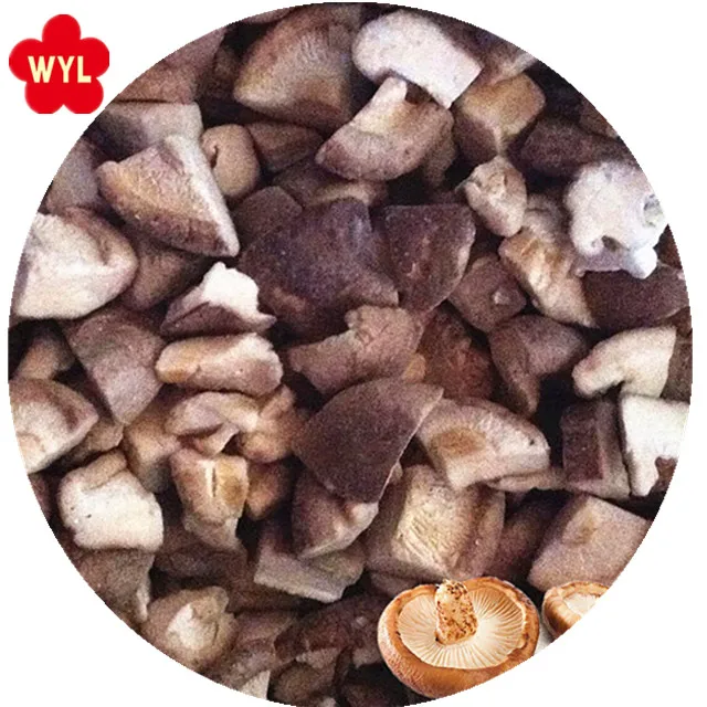 best quality frozen mushrooms iqf frozen shiitake slices cut whole for exporting