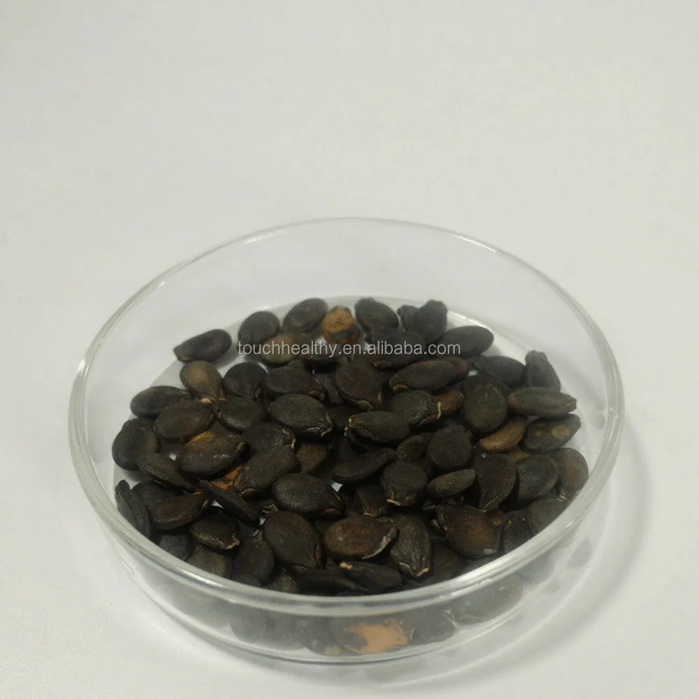 
2021 Touchhealthy supply Big size green color hybrid f1 seedless watermelon seeds 10gram/bags 