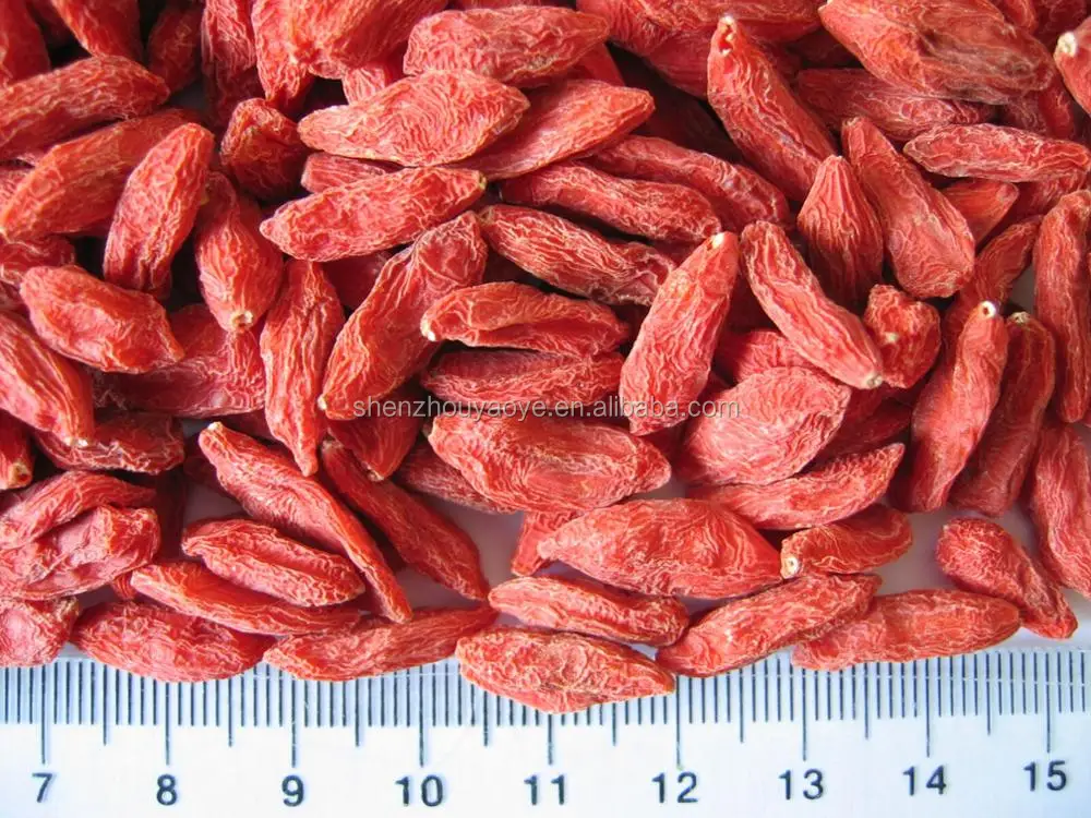 
Shenzhou Organic Goji Berries Noticeably Larger And Juicier 