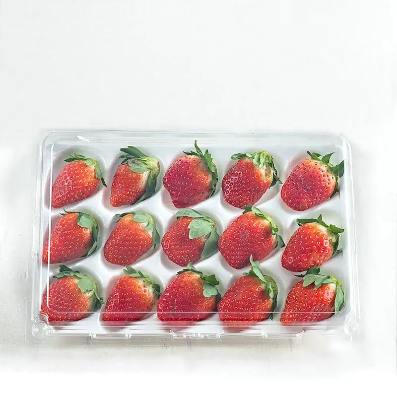 Personalized Design Plastic Container With  Inner Tray For Strawberry Taking Care Each Pieces Of Strawberry