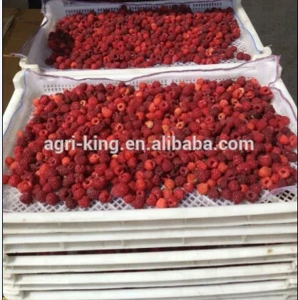 
Hot Export Price Raspberries IQF Fresh Frozen Raspberry Fruit Whole For Sale 