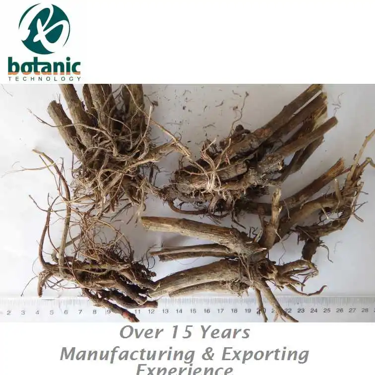 
Dried Echinacea purpurea root Purple coneflower Zizhuiju Songuoju 