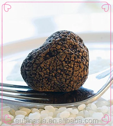 
New cap Wild Fresh Perigord truffle 