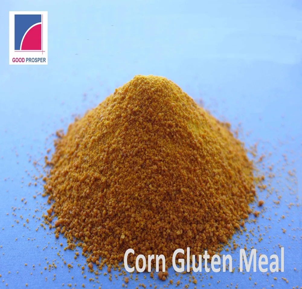 
Corn gluten meal 60% protein (Maize/corn origin) 