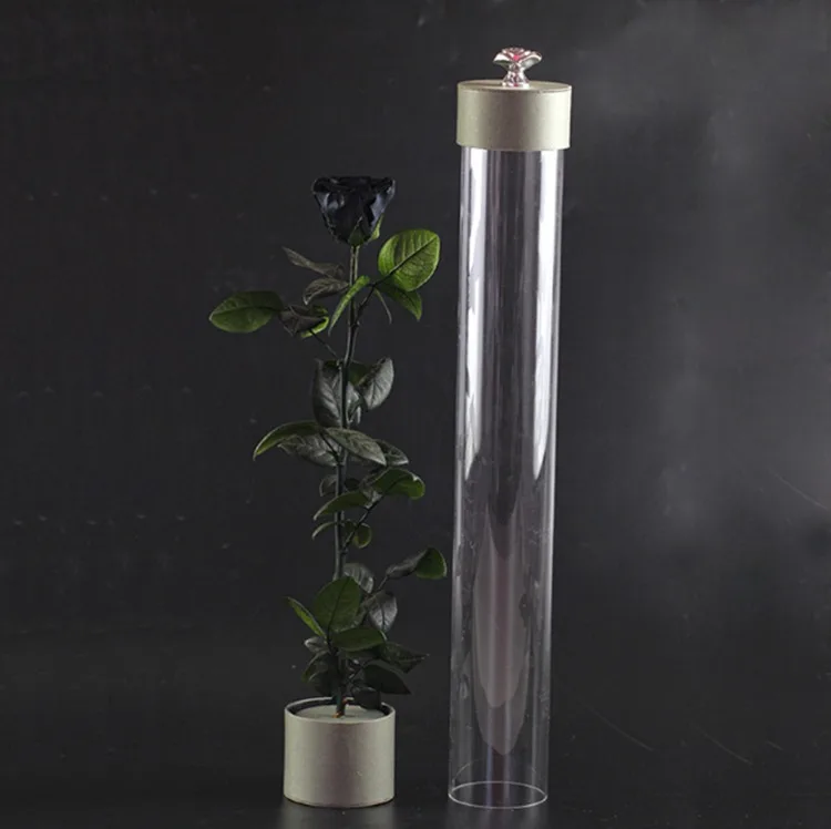 Natural Ecuadorian Roses preserved stem rose with gift box for Valentines Days