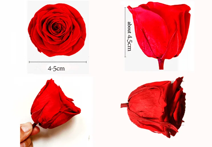 Wholesale dropshipping 5-6cm high quality grade a multi color cheap natural artificial flowers preserved roses heads in a box