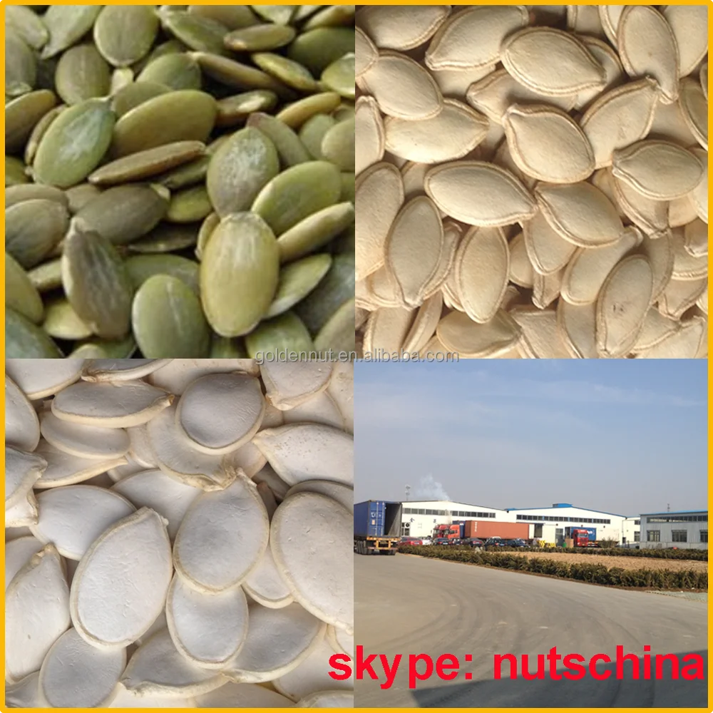 Shine Skin Pumpkin Seeds10 mm 11mm 10 cm up 11 cm up
