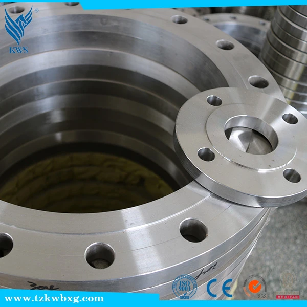 EN10272 316L Stainless steel sealing whorl flange