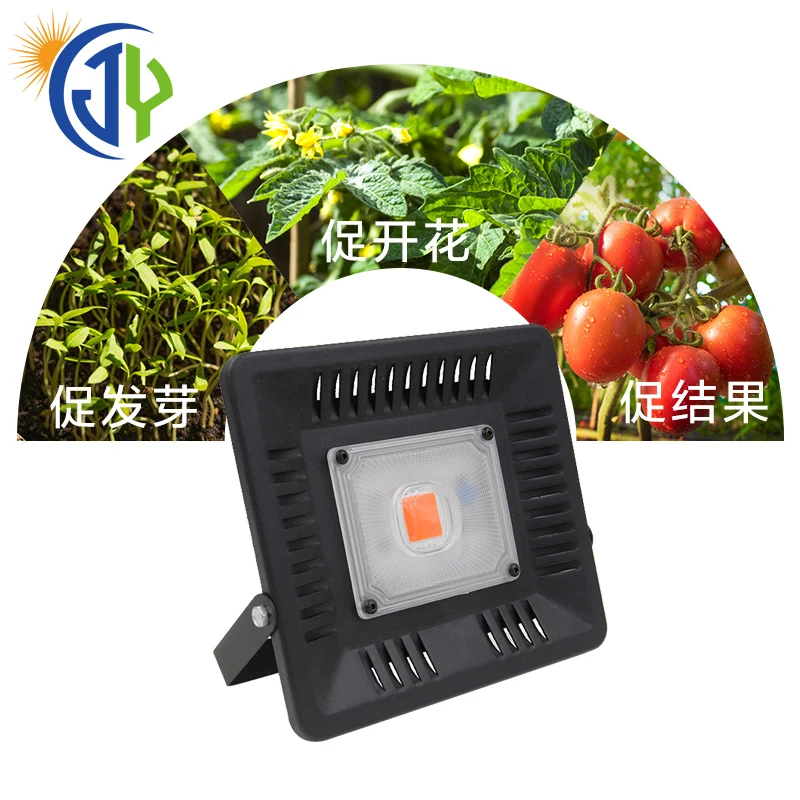 2018 hottest sale 50W crees led grow light cob