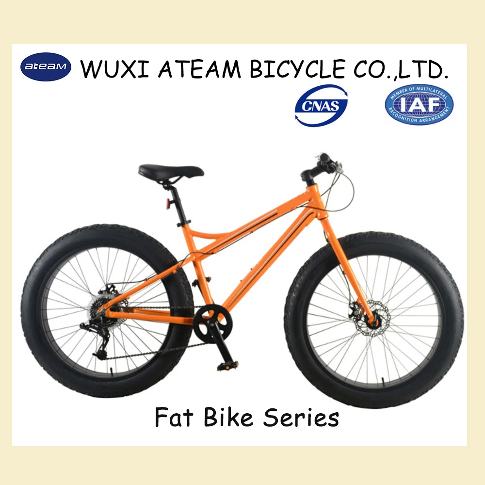 FAT4-fat bike 29  Inch ALIVO 9 SPEEDS fat mountain  bike CHINA FAT BIKE
