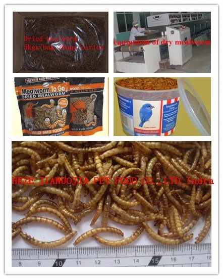  Китайская Ферма для разведения мелких червей