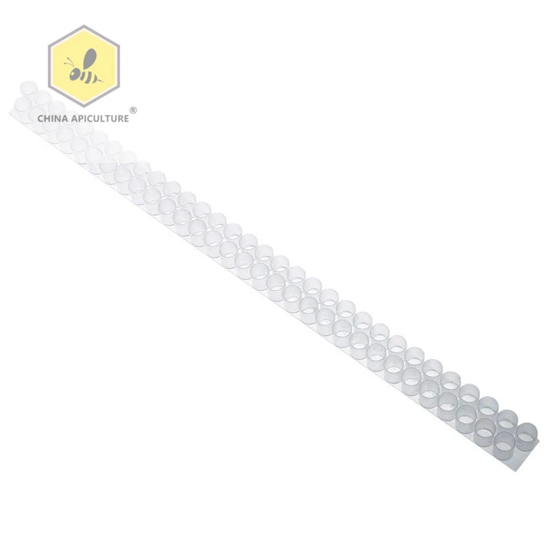 Beekeeping Tools Plastic Queen Bee Double Cell Bar Strip Set Base 33/66 Holes